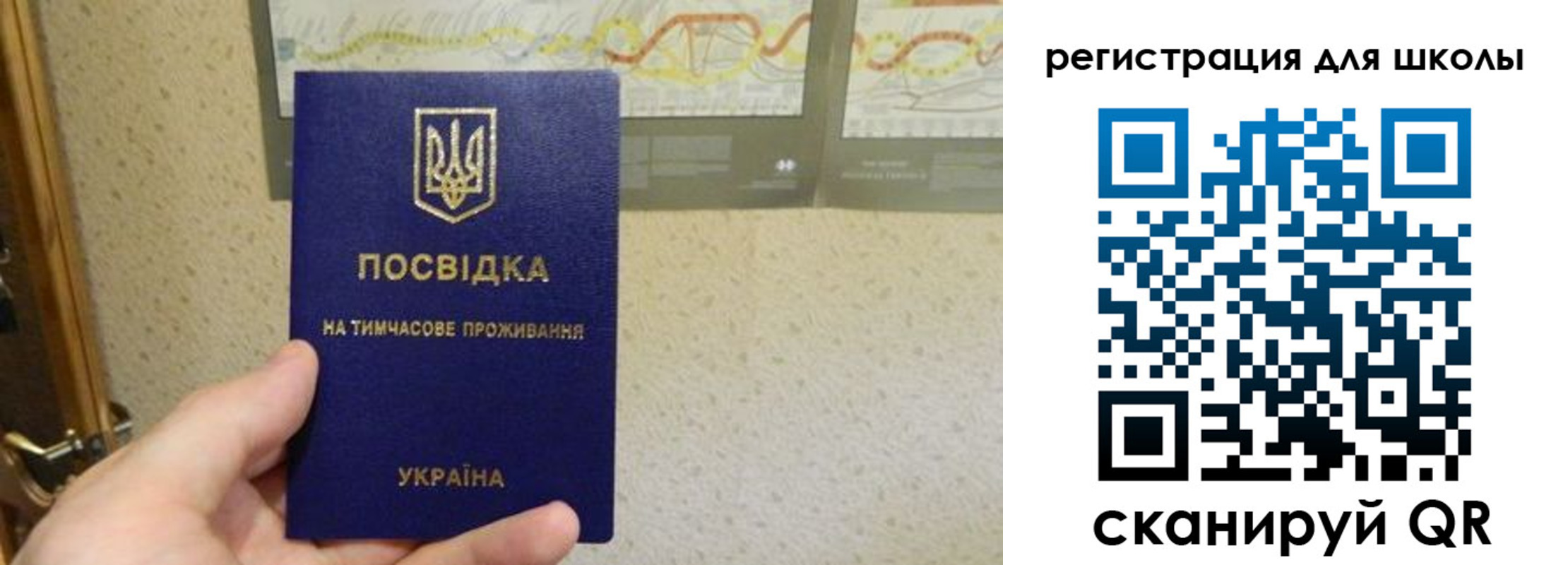 временная прописка в Павлово